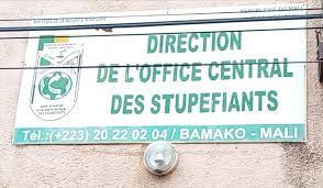 L'OCS rectifie une erreur médiatique concernant la consommation de drogues au Mali